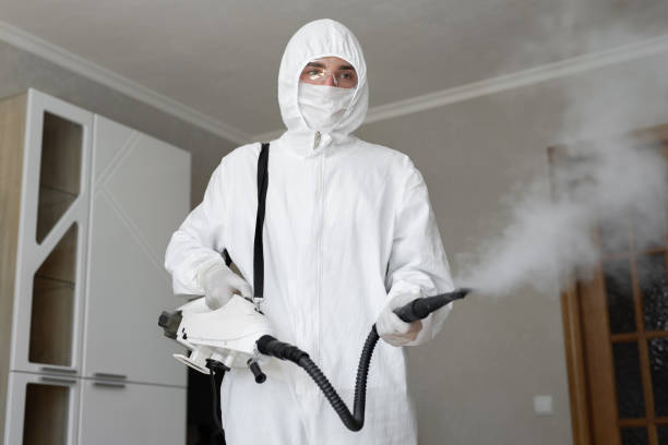 Trusted Audubon Park, KY Mold Removal & Remediation Experts